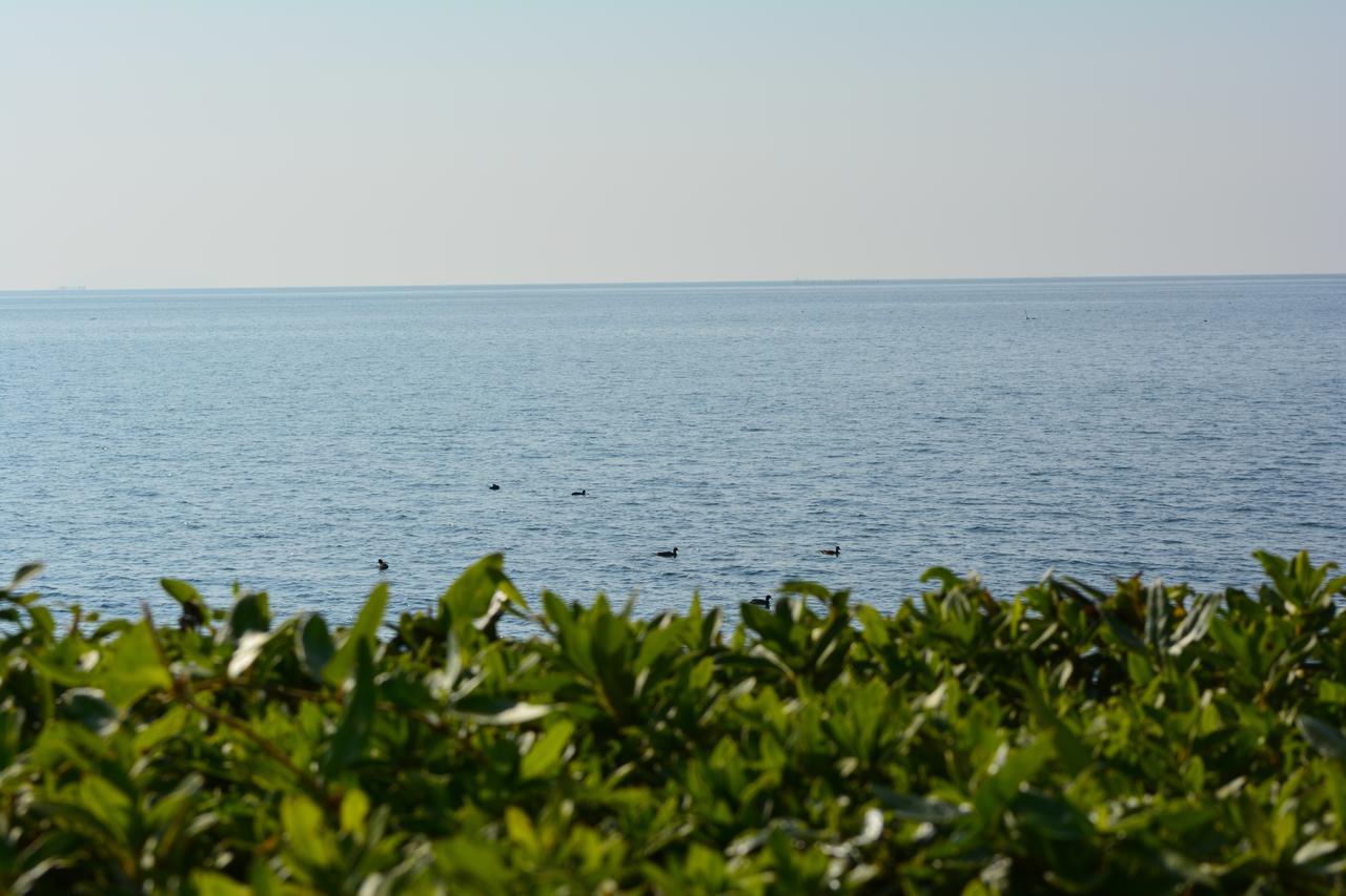 Hikone View Hotel Kültér fotó